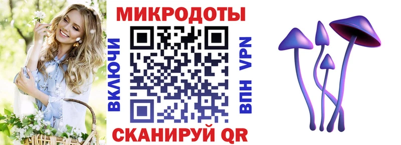 Купить закладки  Сосновоборск  Псилоцибиновые грибы прущие грибы 